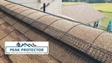 Peak Protector Ridge Vent Protection