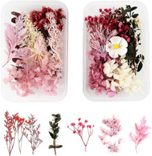 Fiori Secchi Naturali,2 Scatole Fiori Pressati Secchi Naturali,Fiori Secchi per