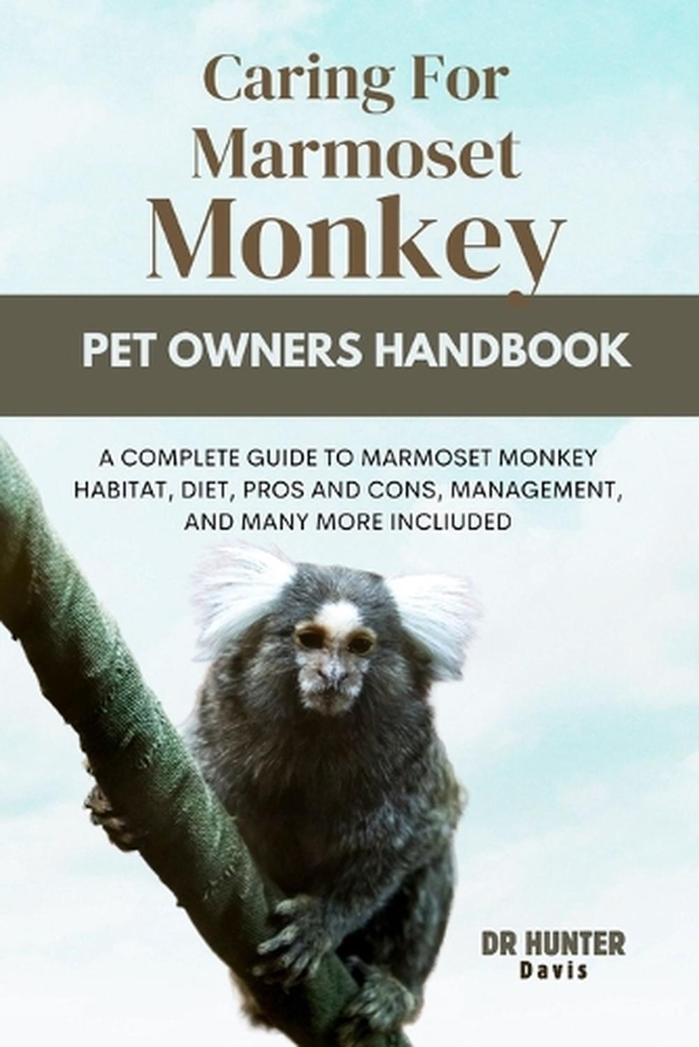 Caring for Marmoset Monkey A Complete Guide to Marmoset Monkey Habitat