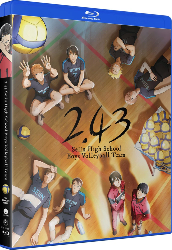 Aggregate 124+ crunchyroll volleyball anime super hot in.eteachers