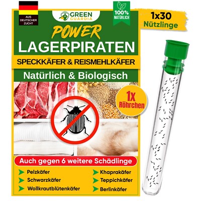 Lagerpiraten gegen Speckkäfer, Teppichkäfer uvm. 1x30 Lagerpiraten(30 Nützlinge)