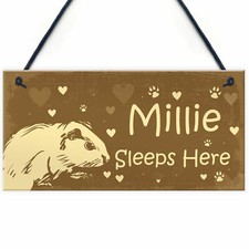 Guinea Pig Sign Personalised Beautiful Handmade Gift Sign For Guinea Pig Owners