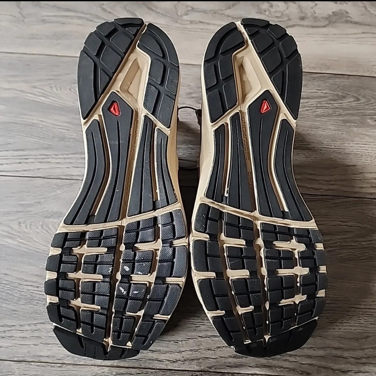 Men's Salomon Techsonic Leather LTR Advanced Safari Brown