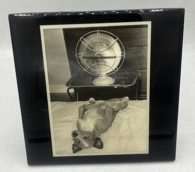 Grander Images Glazed Tile Plaque Vintage Post Card Photo Dog Laying Under Fan