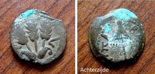 Joodse bronzen Prutah munt  Agrippa I Jerusalem  (41 à 42 bc.)