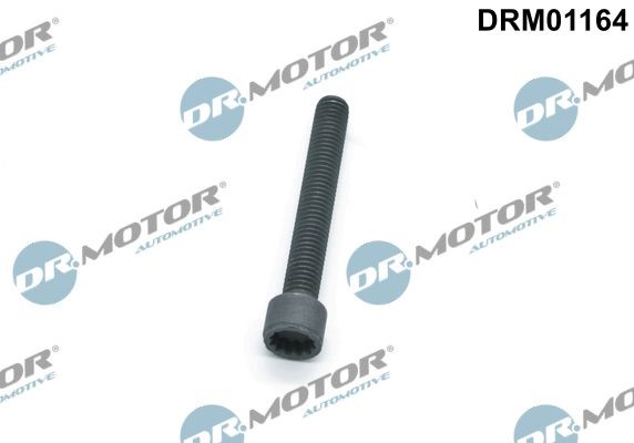 Schraube EinspritzdüSenhalter Drmotor Automotive DRM01164 FüR VW-image