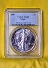 1987 American Silver Eagle $1 ~ 1oz. ~ PCGS MS65 ~ SOME TONING