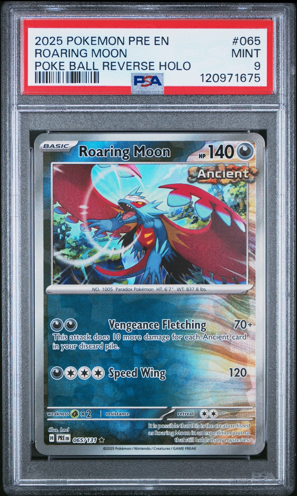 Roaring Moon #65