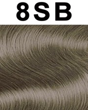 Goldwell TOPCHIC Hair Color CAN Silver Blonde 8SB 8oz/250g