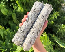 9" JUMBO White Sage Smudge Bundles - 2 Pack Bulk Lot Large Sticks + Directions