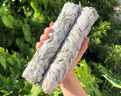 9'' JUMBO White Sage Smudge Bundles - 2 Pack Bulk Lot Large Sticks + Directions