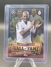 Hall Of Fame Zinedine Zidane