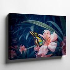 Colorful Butterfly on Pink Flower Nature Canvas Wall Art Floral Decor Print