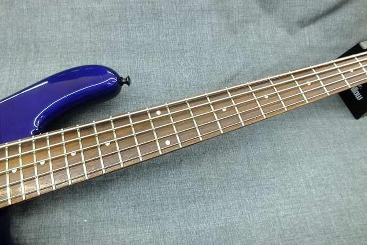 FERNANDES GRAVITY 5 DELUXE 5- and 6-string bass guitars | eBay