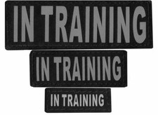 IN TRAINING Patch Reflective Extra Label Tag for Dog Harness Service