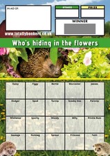 Hedghog Fundraising Scratch Cards - 20 Square - A6 - 10 Pack - TB0115