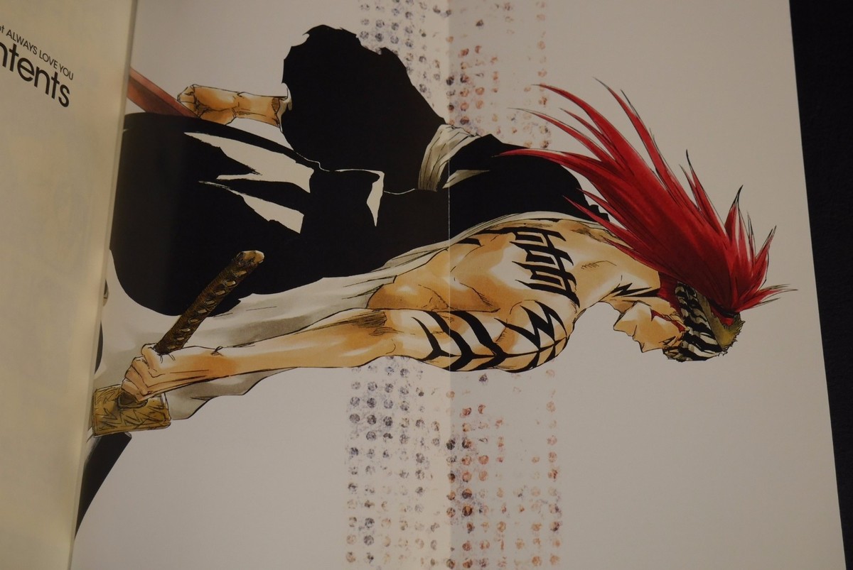 JAPAN novel: Bleach We Do knot Always Love You | eBay