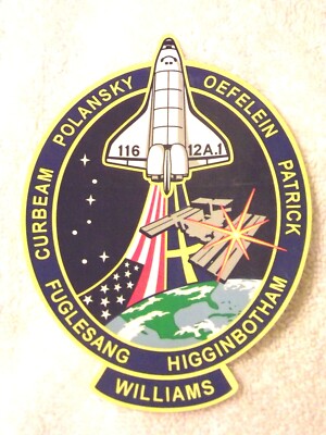 STS-116 Official NASA Patch Sticker P5 Truss DebrisShield 1st Swede 7 ...