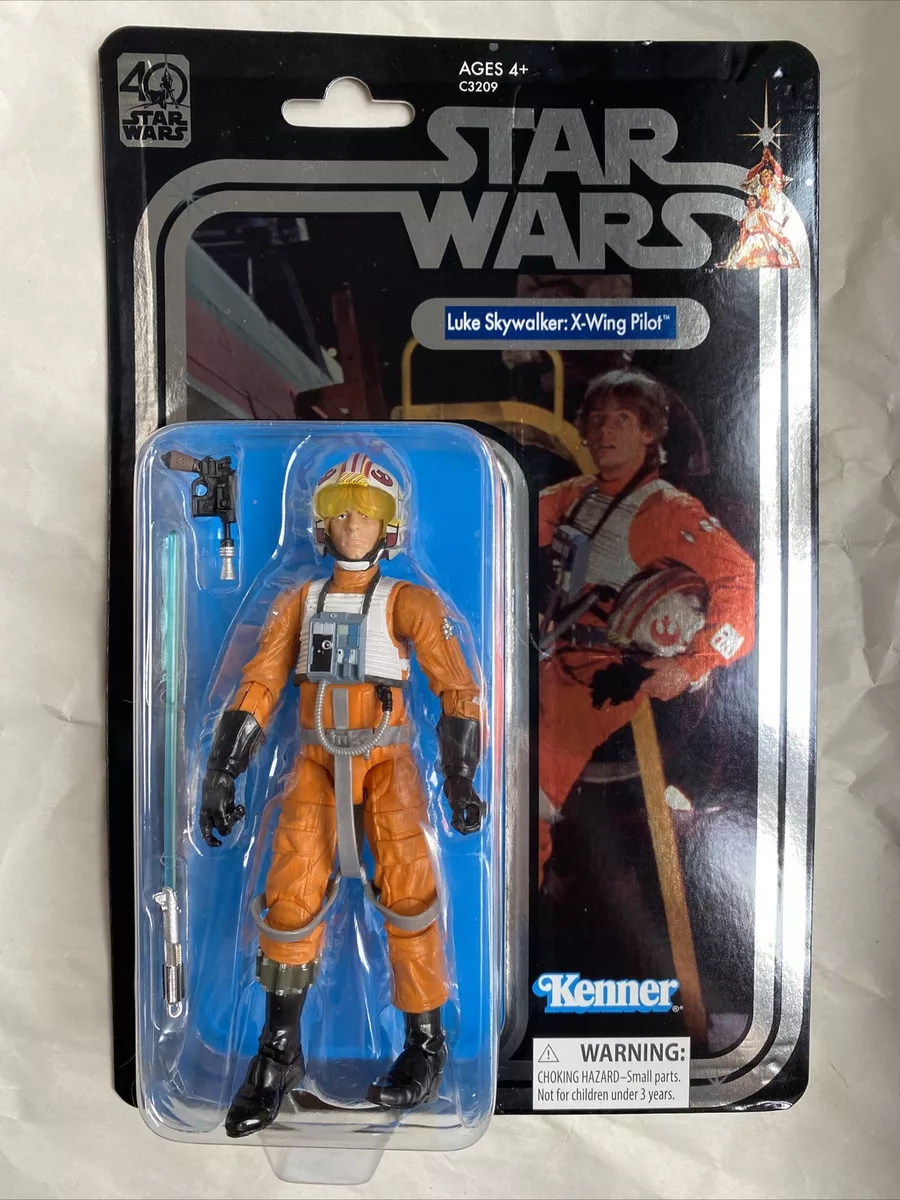Star wars black series luke skywalker pilot sale