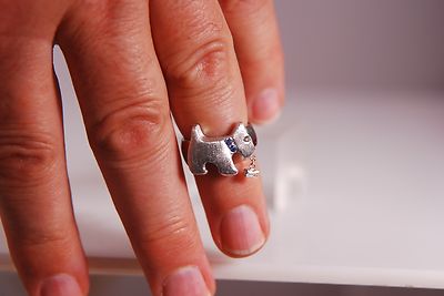 silver dog ring