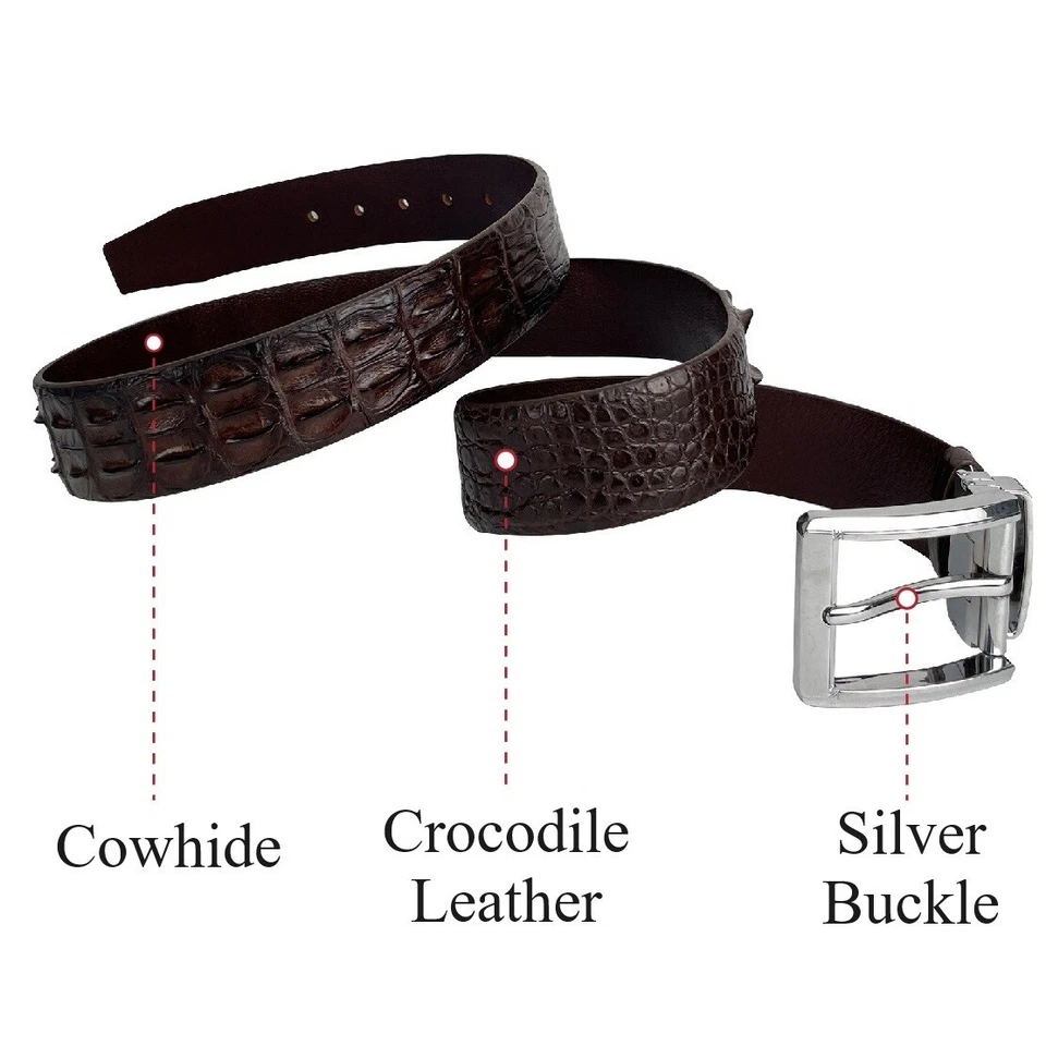 Cinturón de piel de cocodrilo real marrón con espalda de cuerno para hombre W 1,5" sin articulaciones Foto 2 de 4