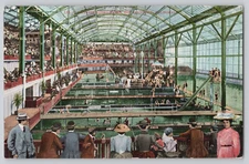 Interior Sutro Baths near Cliff House San Francisco CA, California Postcard