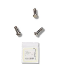 Oakley Sutro Ti Sweep OO6025 Silver Replacement Temple Hinge Screws Genuine