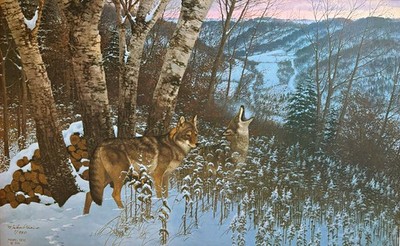 Michael Sieve Wildlife Art Print Eastward Bounds-Coyotes S/N 27''x17''