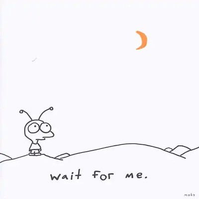 Moby - Wait for Me