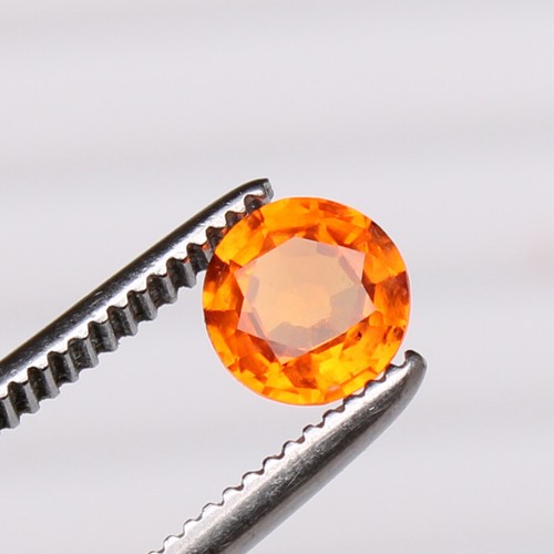 harley davidson sportster xlch d'occasion - Recherche de moto d'occasion - Le Parking-Moto