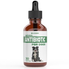 Natural Dog Antibiotics - Antibiotics for Dogs - Yeast Infection Treatment fo...