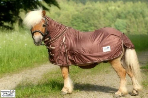 Fliegendecken für Shetty