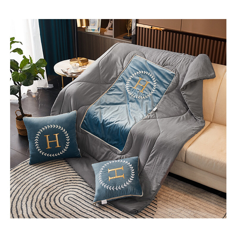 2 In 1 Throw Pillow Quilt,Airplane Blanket,Super Soft Travel Blanket eBay