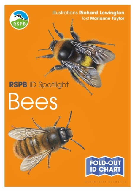 RSPB ID Spotlight - Bees by Marianne Taylor (Fold-out book or chart)