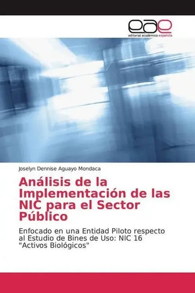 AnáLisis De La ImplementacióN De Las NIC Para El Sector PúBlico Mondaca Buch-image