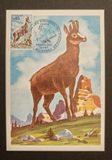 1971 Parc National des Pyrénées ISARD, CARTE  1er jour fdc