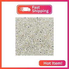 Toho Seed Beads, Silver Lined Crystal