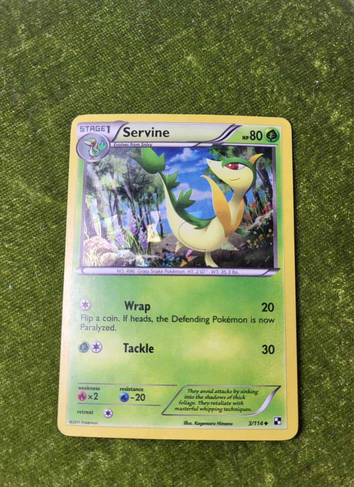 Servine 3/114 Cracked Ice Holo MP
