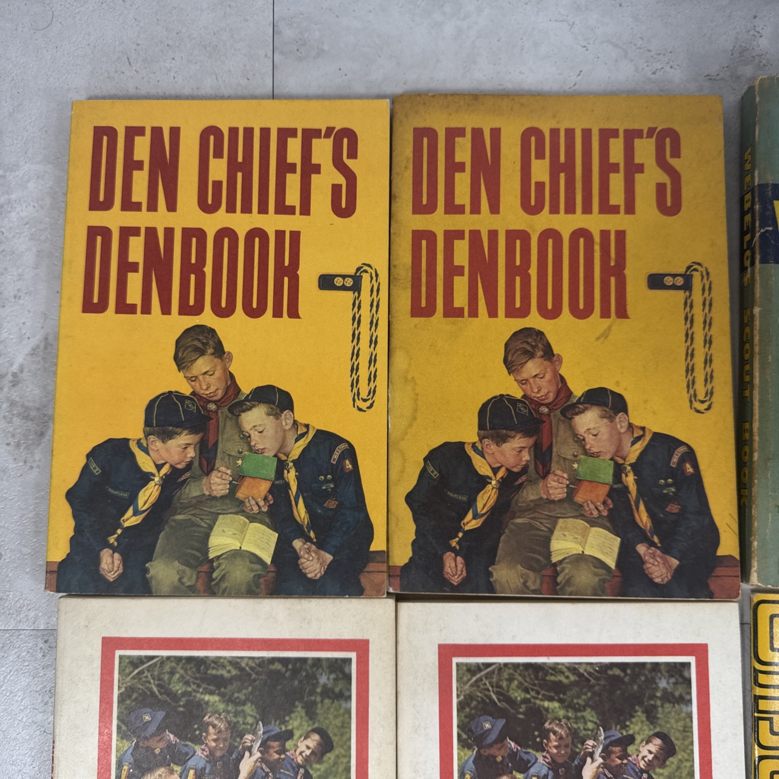 Afbeelding 2 van 16