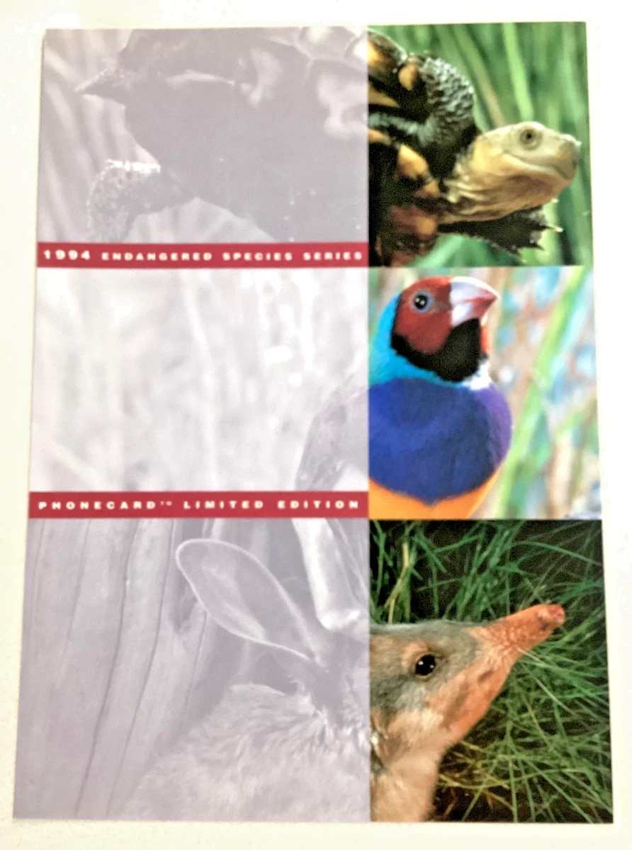 Telecom Phonecard ADERTISING FLYERS - 8* VARIOUS 'A4' SIZE GLOSSY ISSUES. Lot3