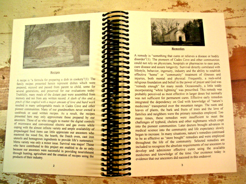 RECIPES, REMEDIES & RUMORS Vol 1 Cades Cove Preservation Assn Cookbook Tennessee - Picture 8 of 24