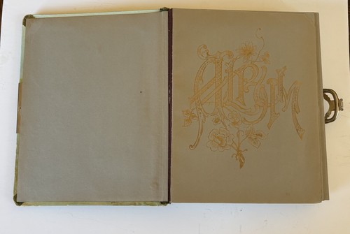 Antique 1800’s Ornate Victorian Children Celluloid Photo Album Book 24 Pages - Picture 2 of 12