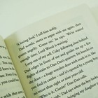 Picture 4 of 4