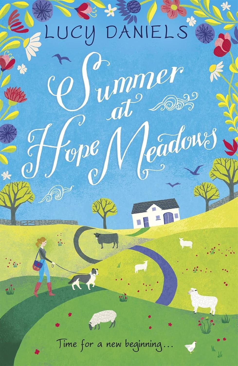 Summer at Hope Meadows by Lucy Daniels (Paperback, 2017)