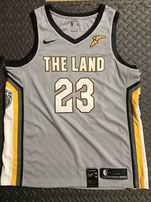 the land lebron jersey