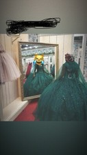 Ball Gown/Quince Dress
