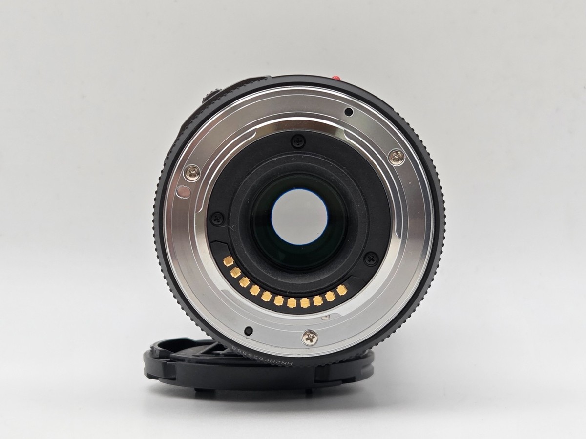 MINT ] Panasonic LUMIX G X VARIO PZ 45-175mm F4-5.6 ASPH Power