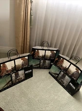 Lot Of 3 PACSUN VTG SHOPPING BAGS / GIFT BAG CALIFORNIA GOLDEN STATE BEACH XL