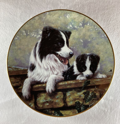 THAT'S MY BOY Plate Border Collies John Silver Danbury Mint