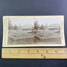Floral Display Toronto Industrial Exhibition Stereoview Antique c1879 Y3162